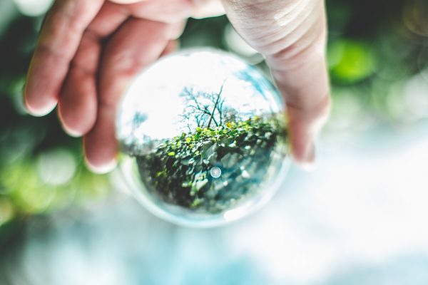 Seven steps towards a more sustainable life as an entrepreneur and a person
